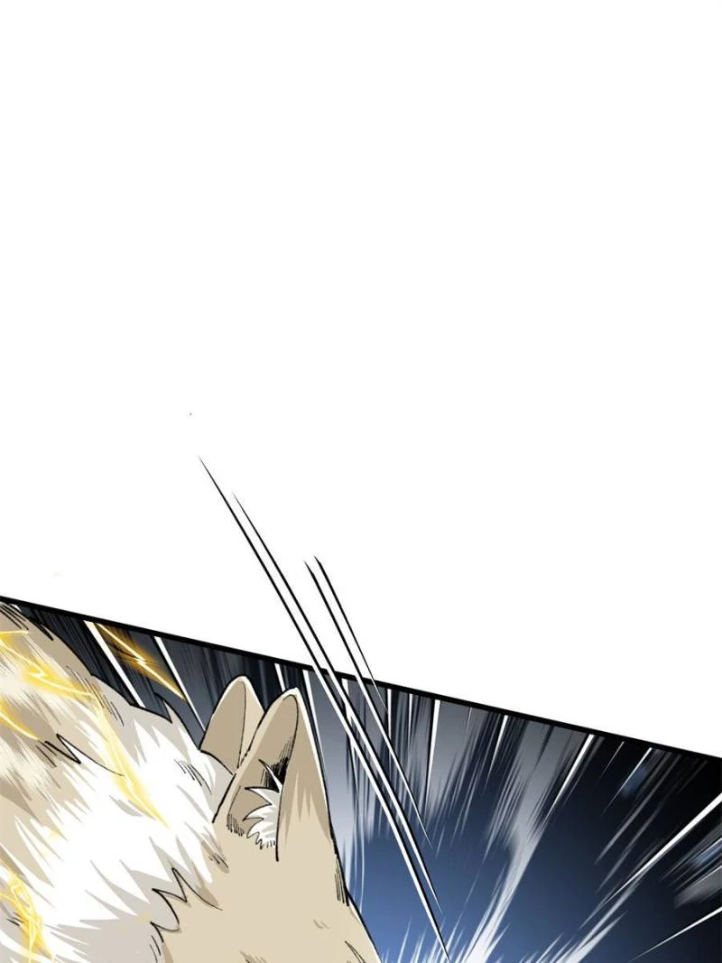 81494758 800 1067 49988